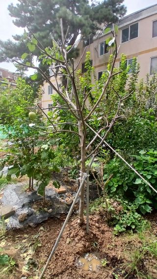 서우림님의 작성글 사진