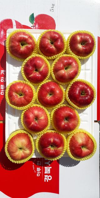 이슬농부농산님의 작성글 사진