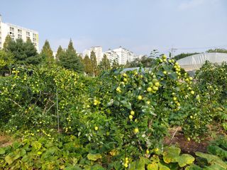 송진호님의 자유주제 · 자유게시판 작성글 사진