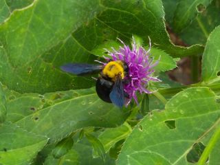 안길원님의 자유주제 · 자유게시판 작성글 사진