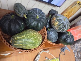 서녕이님의 자유주제 · 자유게시판 작성글 사진