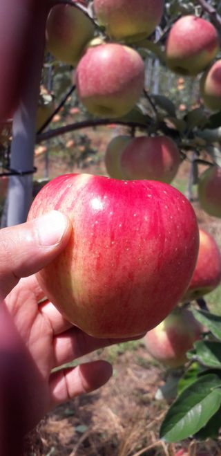 이슬농부농산님의 작성글 사진