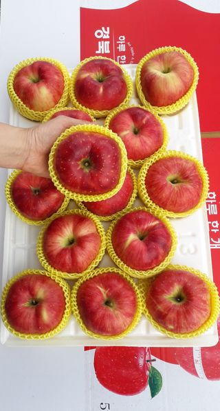 이슬농부농산님의 작성글 사진