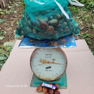 정찬영님의 자유주제 · 자유게시판 작성글 사진