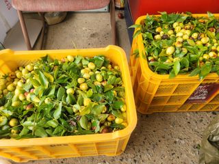 장효기님의 자유주제 · 자유게시판 작성글 사진