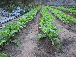 박덕환님의 자유주제 · 자유게시판 작성글 사진
