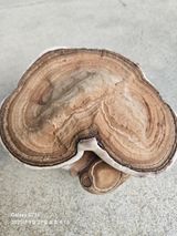 팜모닝 자유주제·자유게시판 게시글 이미지