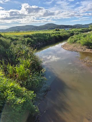 이정민님의 자유주제 · 자유게시판 작성글 사진