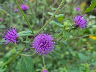 안길원님의 자유주제 · 자유게시판 작성글 사진