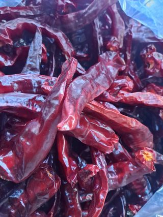 김영복님의 자유주제 · 자유게시판 작성글 사진