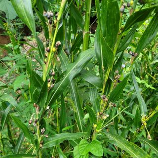 이창화님의 자유주제 · 자유게시판 작성글 사진