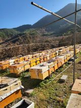 팜모닝 자유주제·자유게시판 게시글 이미지