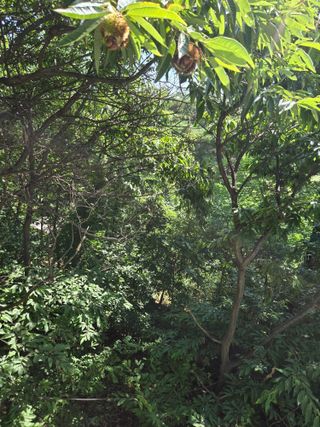 장지영님의 작성글 사진