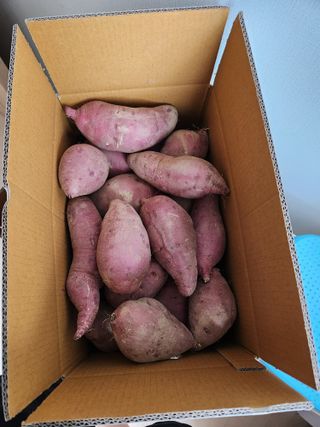 보은 김영순님의 자유주제 · 자유게시판 작성글 사진