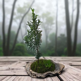 약초원 김종군님의 자유주제 · 자유게시판 작성글 사진