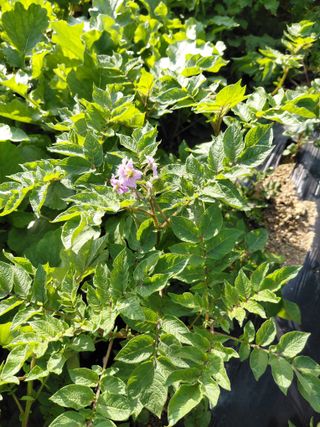 좋은인연원님의 자유주제 · 자유게시판 작성글 사진