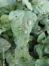 팜모닝 자유주제·자유게시판 게시글 이미지