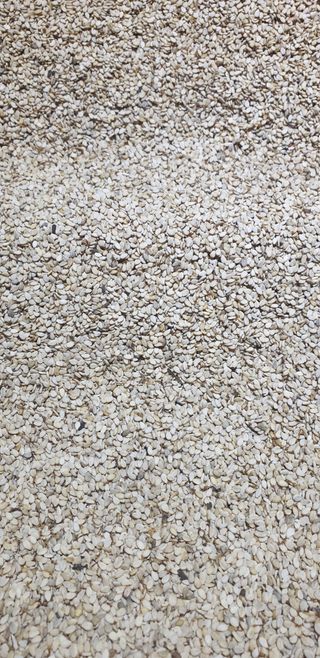 오류농원님의 작성글 사진