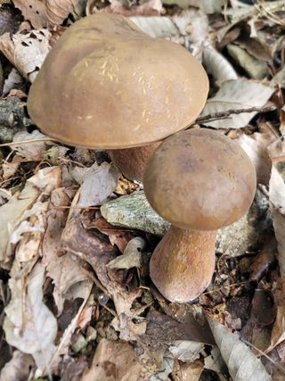 서성환님의 자유주제 · 자유게시판 작성글 사진