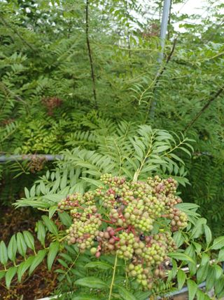 표고버섯18854님의 자유주제 · 자유게시판 작성글 사진