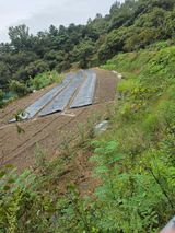 팜모닝 자유주제·자유게시판 게시글 이미지