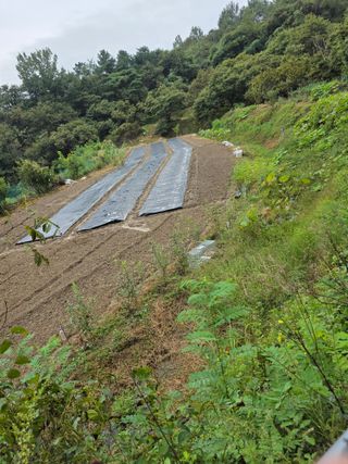 열정님의 자유주제 · 자유게시판 작성글 사진