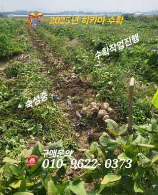 김주용님의 작성글 사진