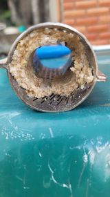 팜모닝 자유주제·자유게시판 게시글 이미지