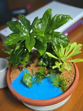 약초원 김종군님의 자유주제 · 자유게시판 작성글 사진