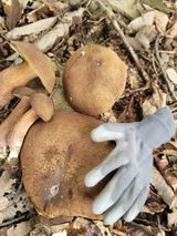 팜모닝 자유주제·자유게시판 게시글 이미지