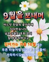 팜모닝 자유주제·자유게시판 게시글 이미지