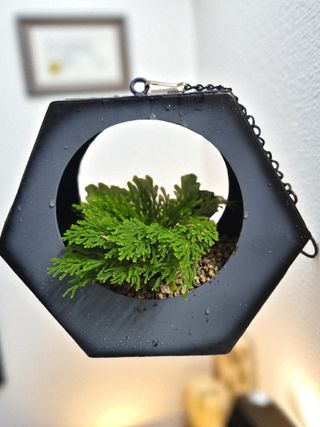 약초원 김종군님의 자유주제 · 자유게시판 작성글 사진