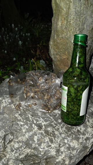 노한수님의 자유주제 · 자유게시판 작성글 사진