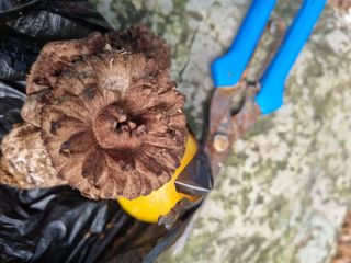 헤라여신^^♡님의 자유주제 · 자유게시판 작성글 사진