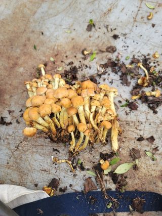 서성환님의 자유주제 · 자유게시판 작성글 사진