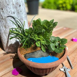 약초원 김종군님의 자유주제 · 자유게시판 작성글 사진