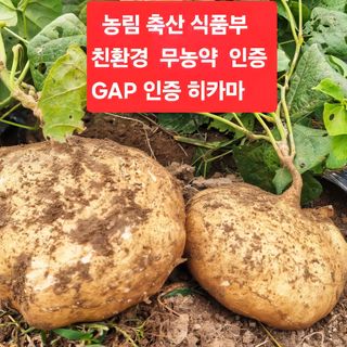 의성소담농원김명제님의 작성글 사진