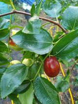 팜모닝 자유주제·자유게시판 게시글 이미지