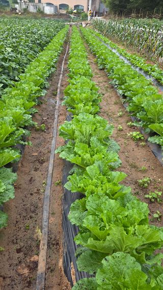 노한수님의 자유주제 · 자유게시판 작성글 사진