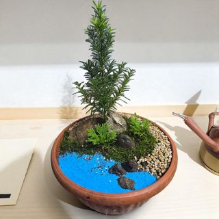 약초원 김종군님의 자유주제 · 자유게시판 작성글 사진