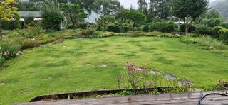 청도군님의 자유주제 · 자유게시판 작성글 사진