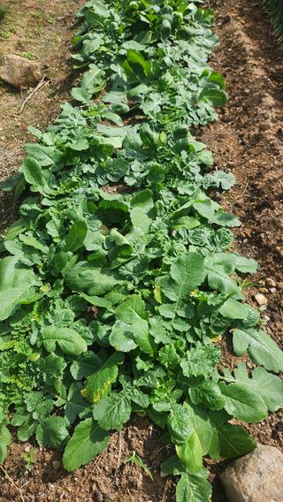 이상보님의 자유주제 · 자유게시판 작성글 사진