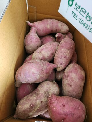 보은 김영순님의 자유주제 · 자유게시판 작성글 사진