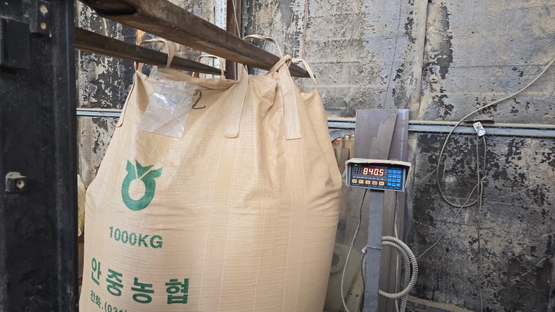 아하킴님의 장터 판매 상품 [경기미 25년 햅쌀 삼광 10kg 팝니다.] 첨부 사진