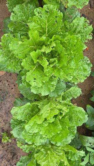 노한수님의 자유주제 · 자유게시판 작성글 사진