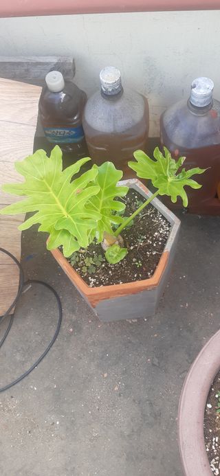 감자17713님의 자유주제 · 자유게시판 작성글 사진