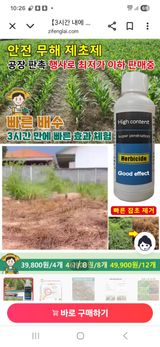 팜모닝 자유주제·자유게시판 게시글 이미지