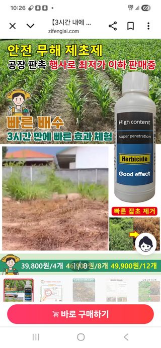 포도17654님의 자유주제 · 자유게시판 작성글 사진