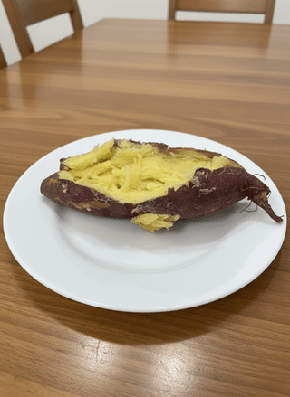 누보농장님의 자유주제 · 자유게시판 작성글 사진