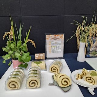 안광희님의 자유주제 · 자유게시판 작성글 사진